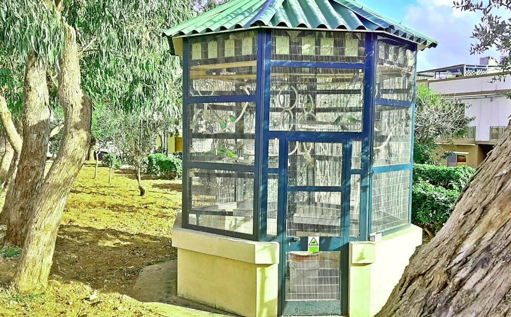 Caro Boutique Guest House San Gwann Exterior photo